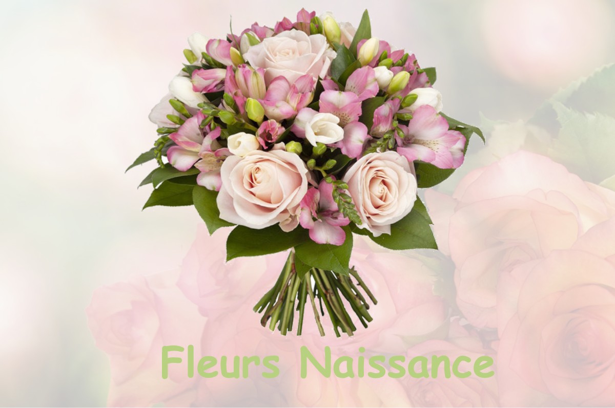 fleurs naissance LEIGNE-SUR-USSEAU