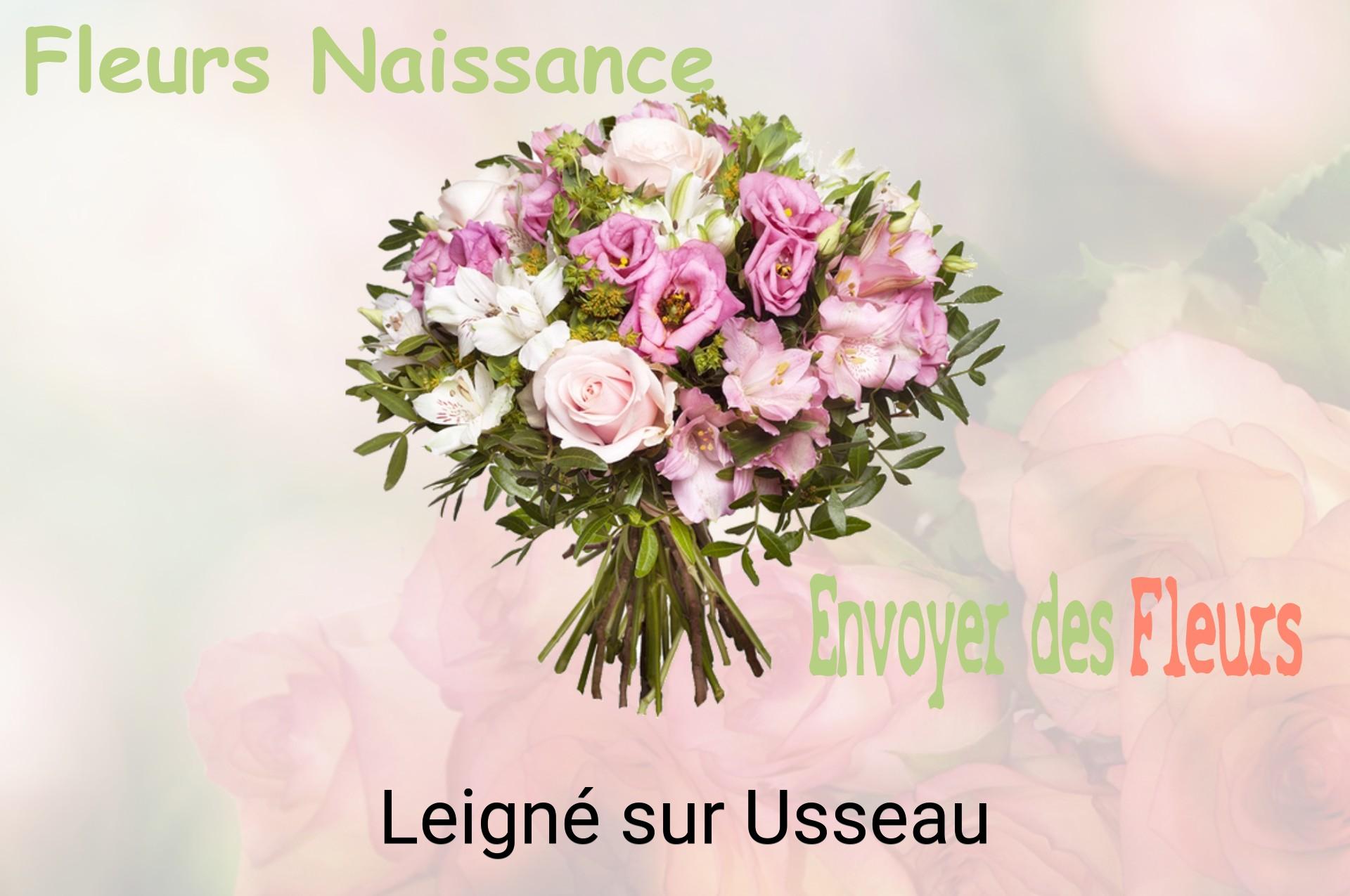 Bouquet de fleurs de naissance livré à Leigné-sur-Usseau