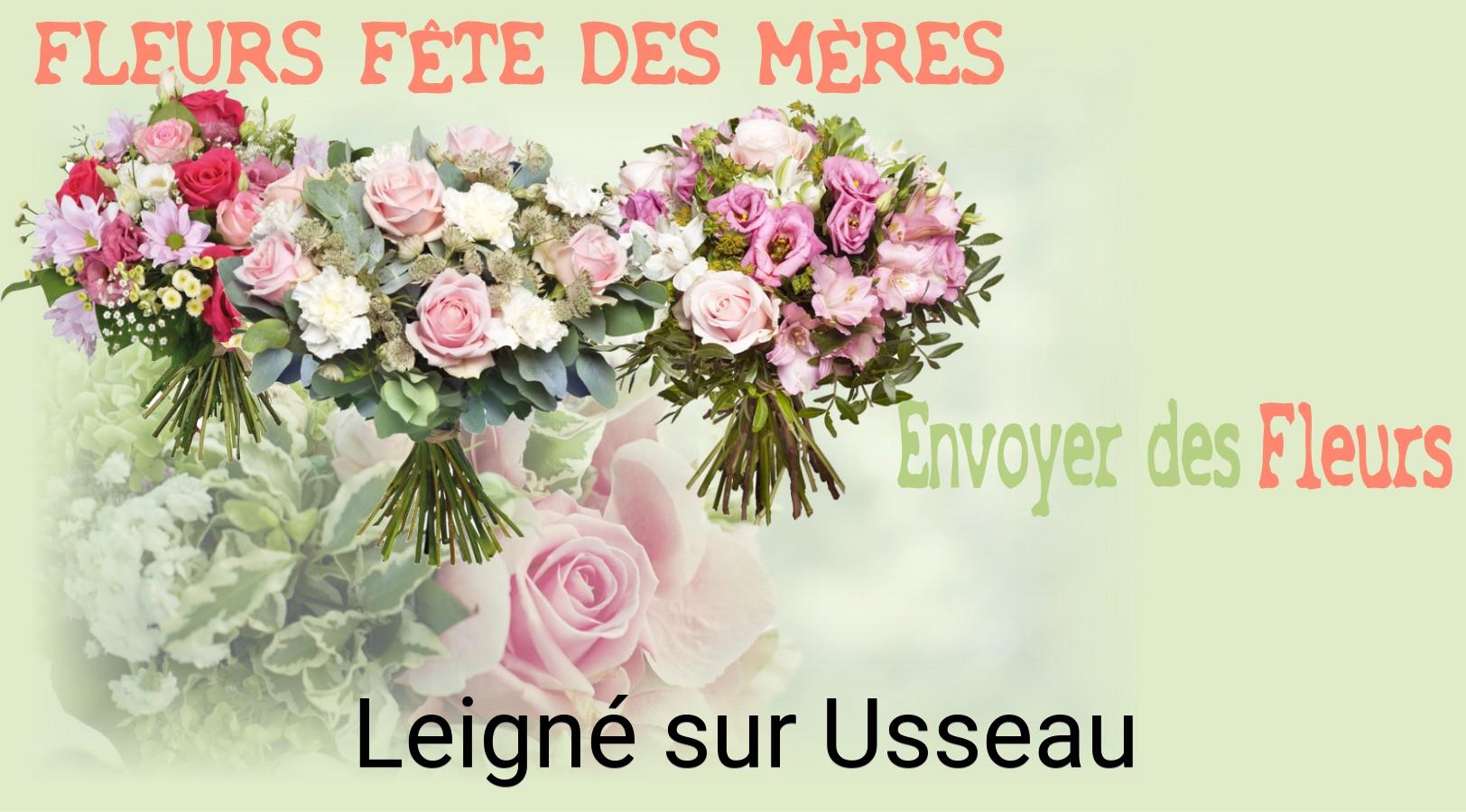 Bouquet de Fête des Mères livré à Leigné-sur-Usseau